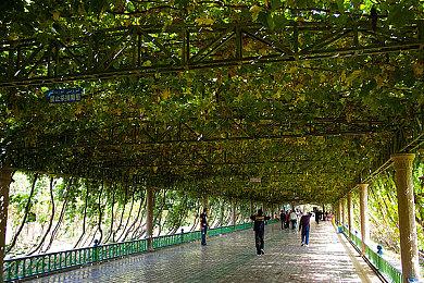 经典小说改编《埃比尼泽与无形世界》发布试玩版